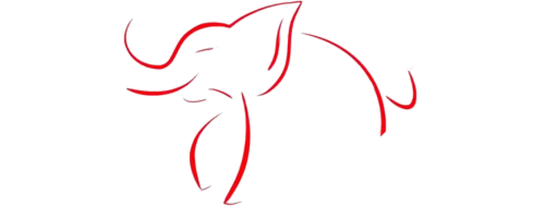 Éléphant Chang Thai